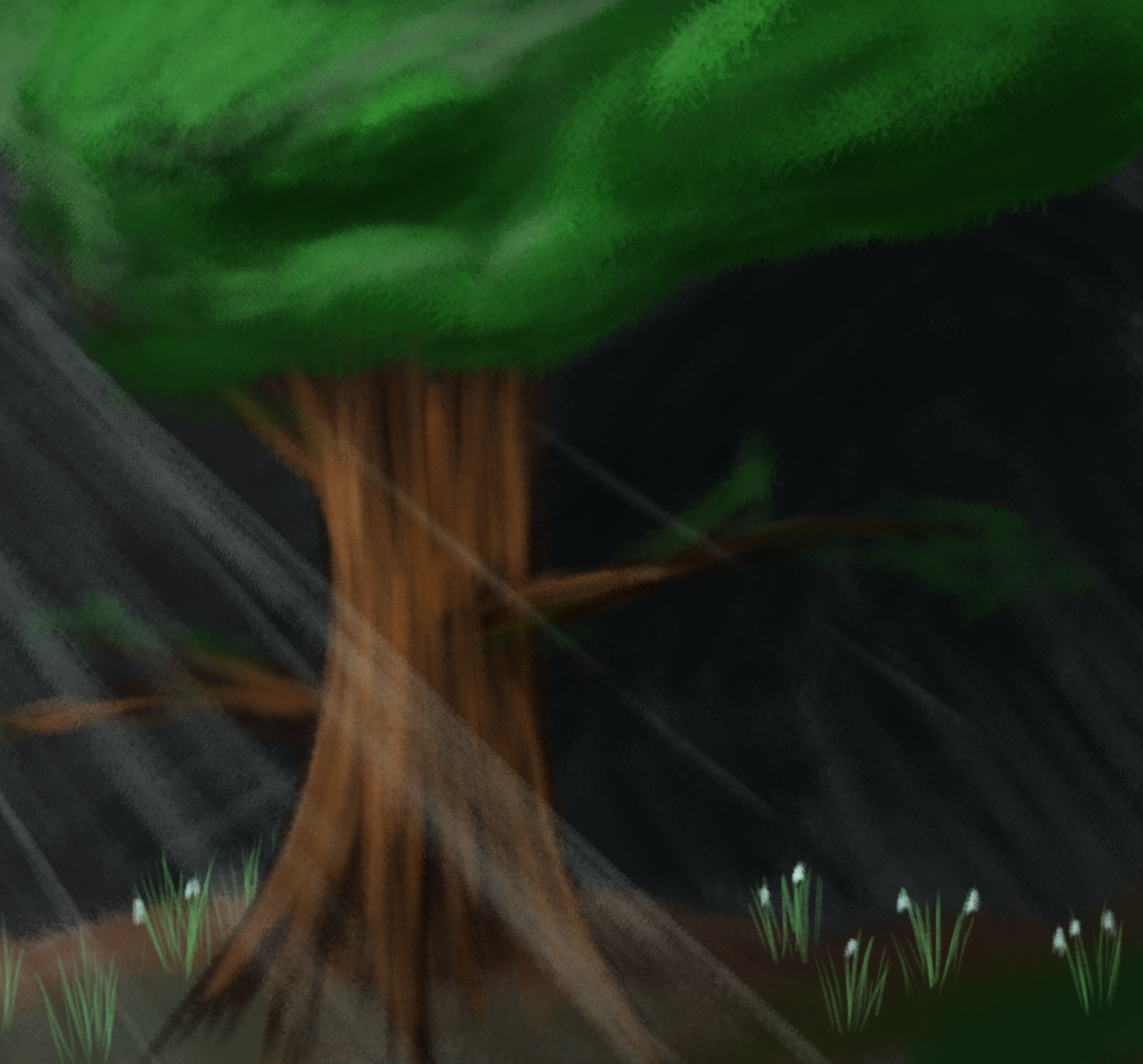 Here could have been image with the Cave tree